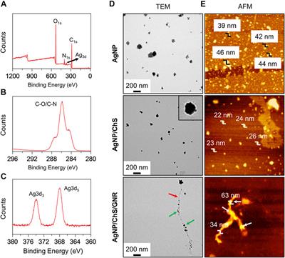 Near-Infrared Light-Triggered Bacterial Eradication Using a Nanowire Nanocomposite of Graphene Nanoribbons and Chitosan-Coated Silver Nanoparticles